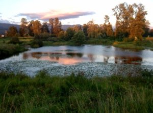 pond at the dikes